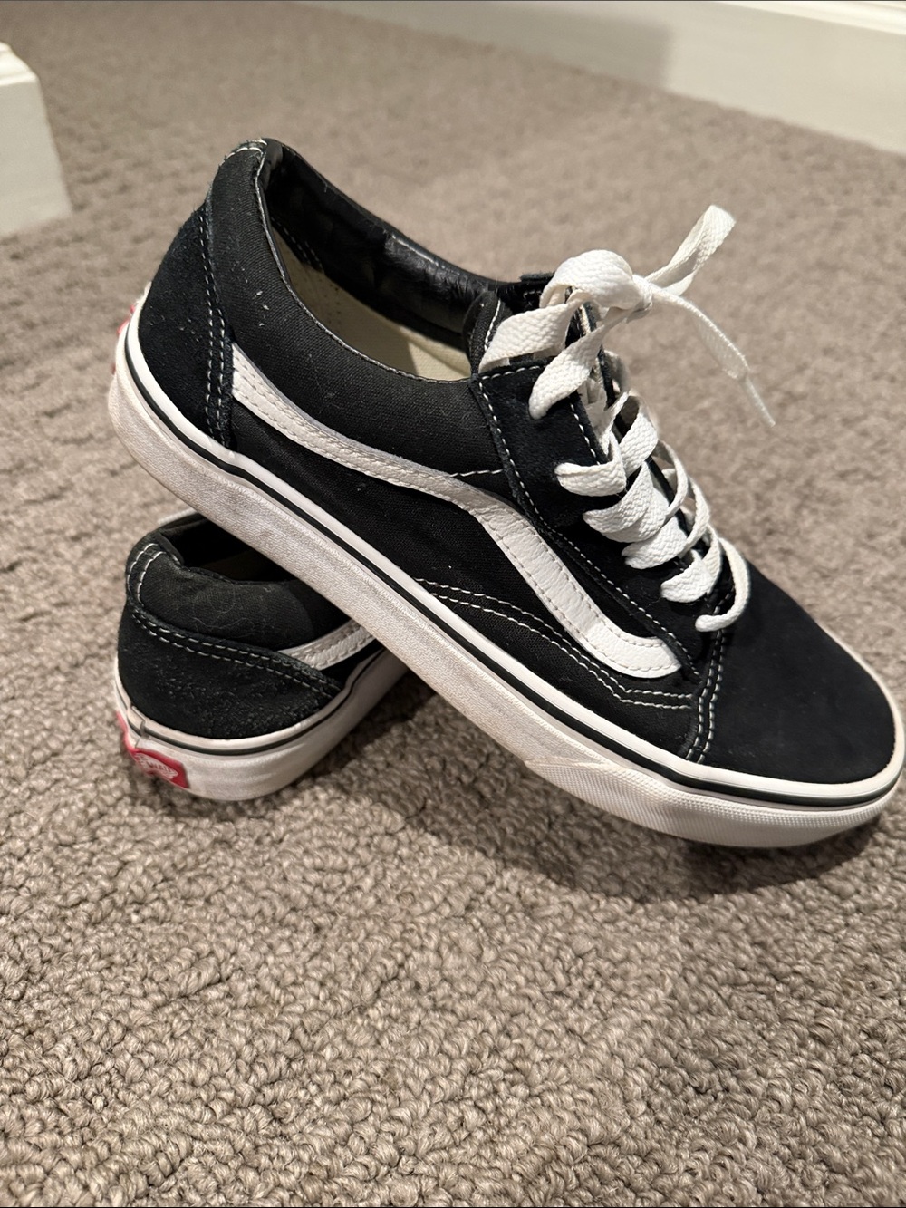 Vans Black & White Low-Top Skate Sneakers